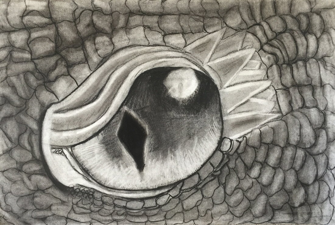 dragon eye art black and white